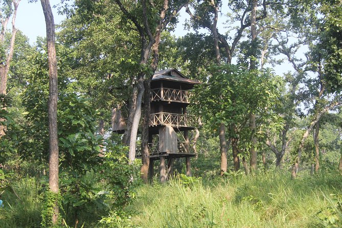 2 night 3 days Chitwan wildlife jungle tour from Kathmandu