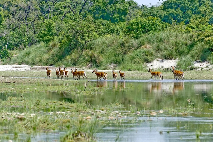Tour image
