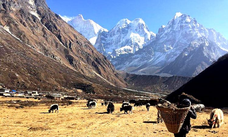 from Kathmandu: 23 Day Kanchenjunga Circuit Trek with Bus Transfer